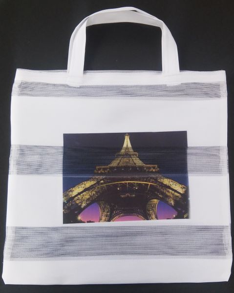 G 50x50cm sacolas com estampa torre Eiffel